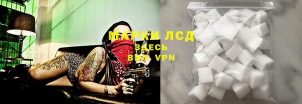 spice Горняк