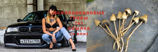 кокс Волосово
