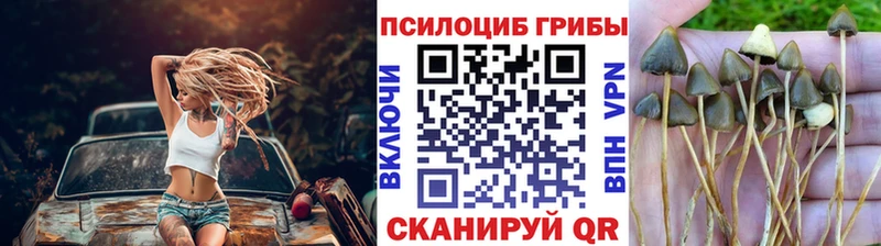 Псилоцибиновые грибы мухоморы  Новосибирск 